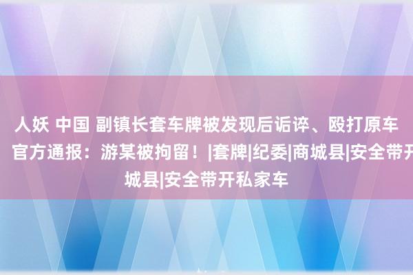 人妖 中国 副镇长套车牌被发现后诟谇、殴打原车牌车主，官方通报：游某被拘留！|套牌|纪委|商城县|安全带开私家车