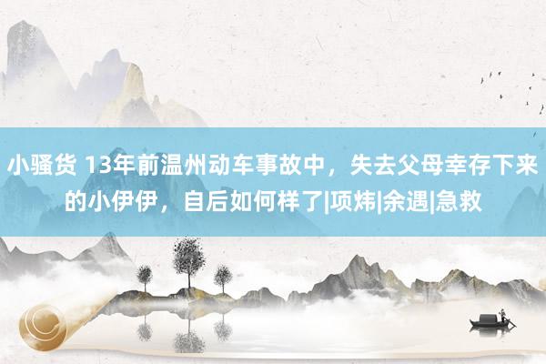 小骚货 13年前温州动车事故中，失去父母幸存下来的小伊伊，自后如何样了|项炜|余遇|急救