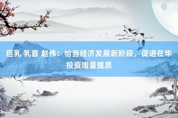 巨乳 乳首 赵伟：恰当经济发展新阶段，促进在华投资增量提质