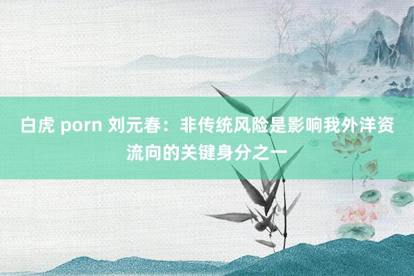 白虎 porn 刘元春：非传统风险是影响我外洋资流向的关键身分之一