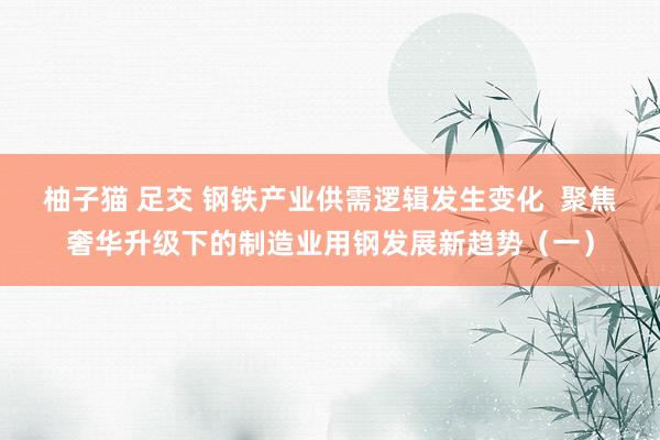 柚子猫 足交 钢铁产业供需逻辑发生变化  聚焦奢华升级下的制造业用钢发展新趋势（一）